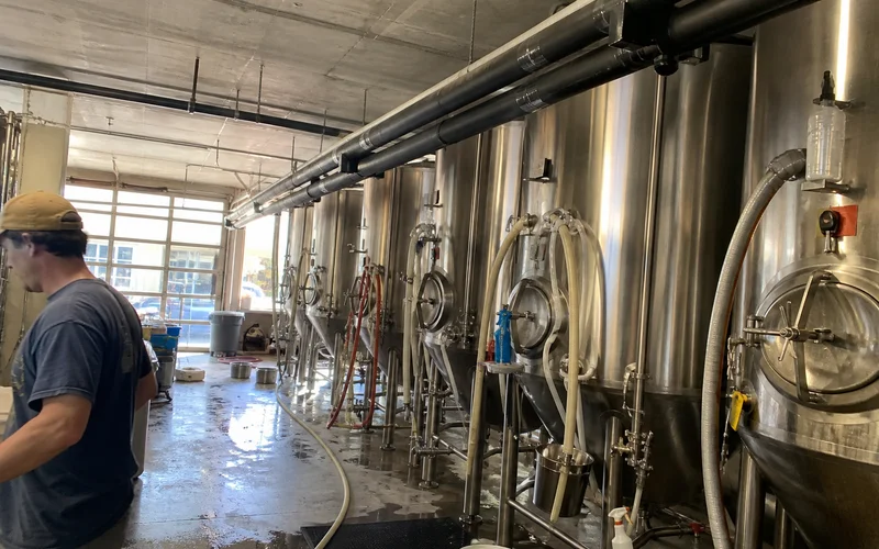 Insulated glycol lines running from a chiller to multiple brewery fermentation tanks
